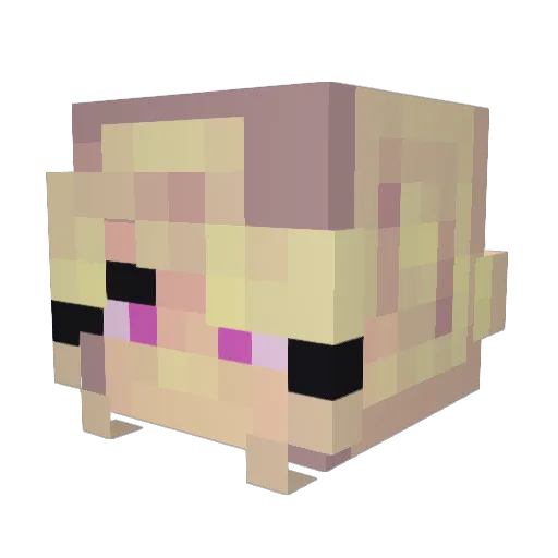Zer0Ranger Minecraft avatar head, 3D render