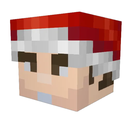 Zer0Sec001 Minecraft avatar head, 3D render