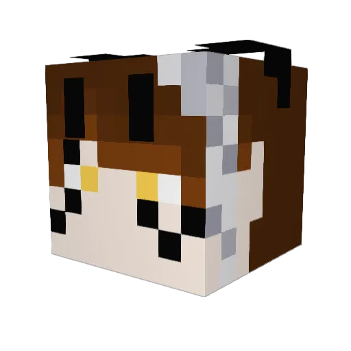 Zer0V0x Minecraft avatar head, 3D render
