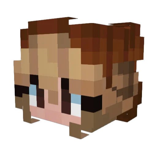 Zer0exe Minecraft avatar head, 3D render