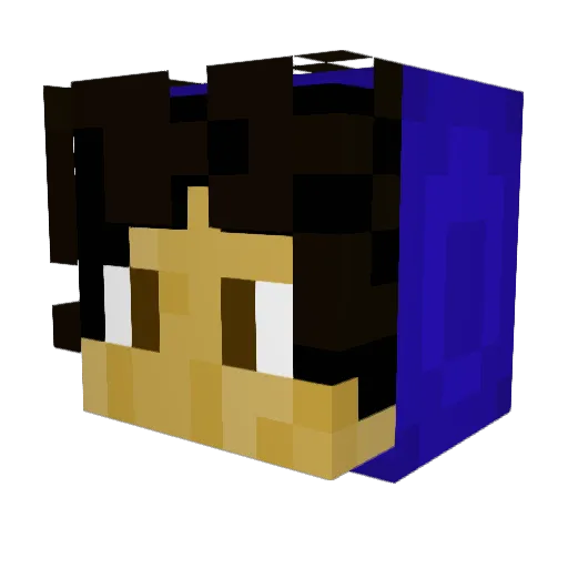Zer0isCool Minecraft avatar head, 3D render