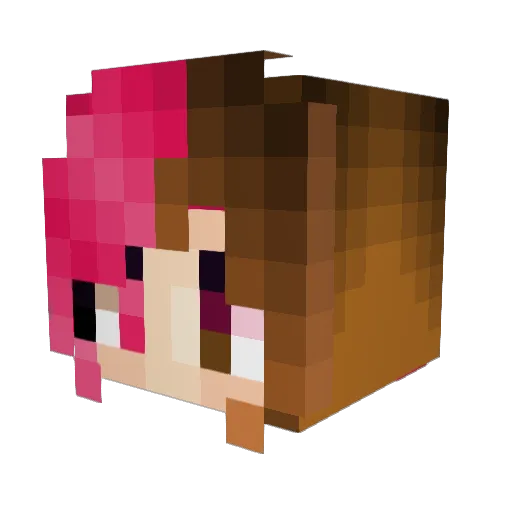 Zer0ni_ Minecraft avatar head, 3D render
