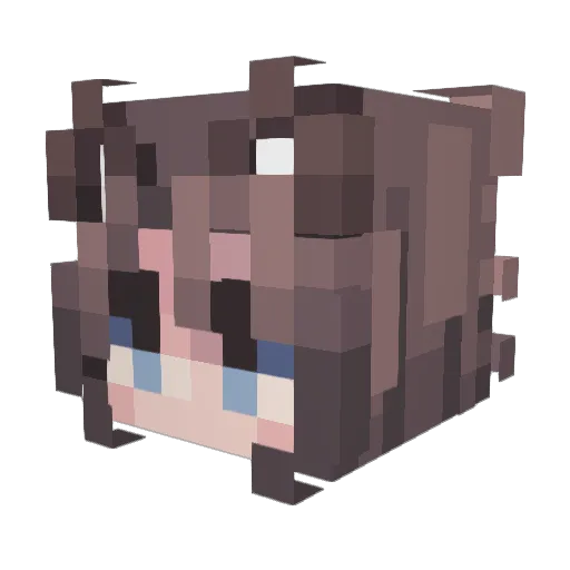Zeranya Minecraft avatar head, 3D render