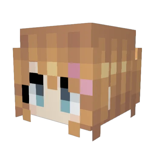 Zeratulaiur Minecraft avatar head, 3D render