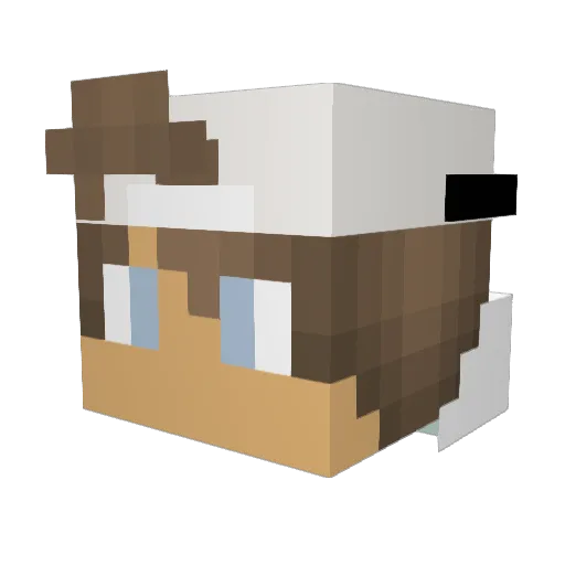 Zerbinsbub1 Minecraft avatar head, 3D render