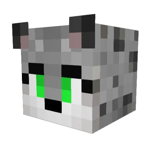Zeree6 Minecraft avatar head, 3D render