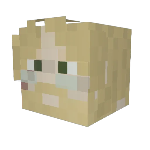 Zerefdarkmoon Minecraft avatar head, 3D render