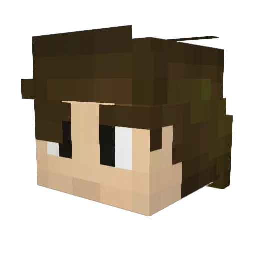 Zergrj Minecraft avatar head, 3D render