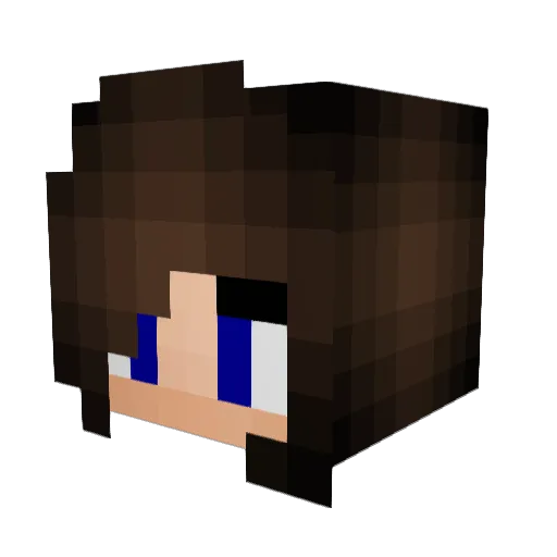 ZeriGotGuns Minecraft avatar head, 3D render