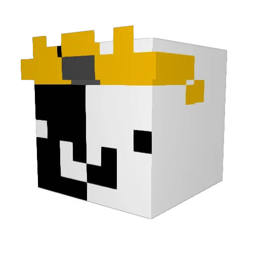 Zerithh_ Minecraft avatar head, 3D render