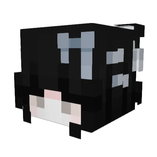 Zeritof Minecraft avatar head, 3D render