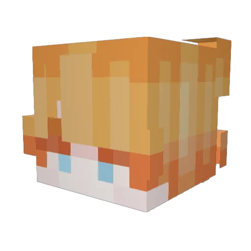 Zerkiio_ Minecraft avatar head, 3D render