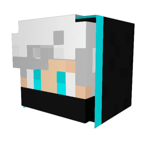 Zerkje12 Minecraft avatar head, 3D render