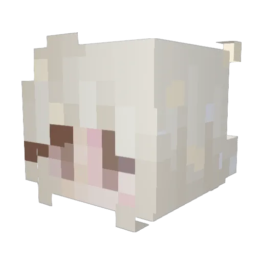 Zerlu Minecraft avatar head, 3D render
