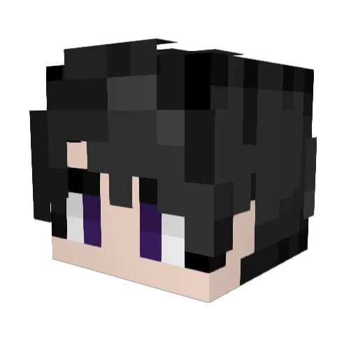 Zero0Name Minecraft avatar head, 3D render