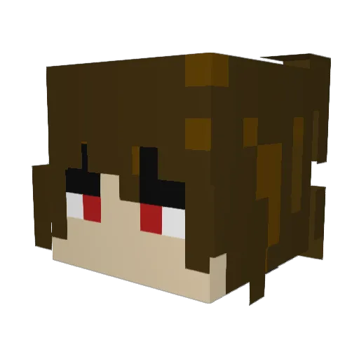 Zero0Village Minecraft avatar head, 3D render