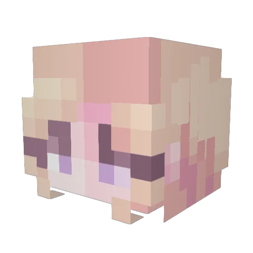 Zero123131 Minecraft avatar head, 3D render