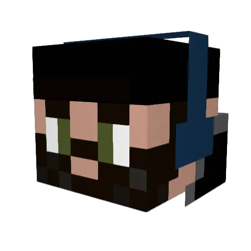 ZeroBudgetGamer Minecraft avatar head, 3D render