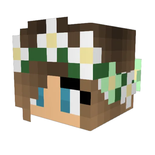 ZeroCool Minecraft avatar head, 3D render