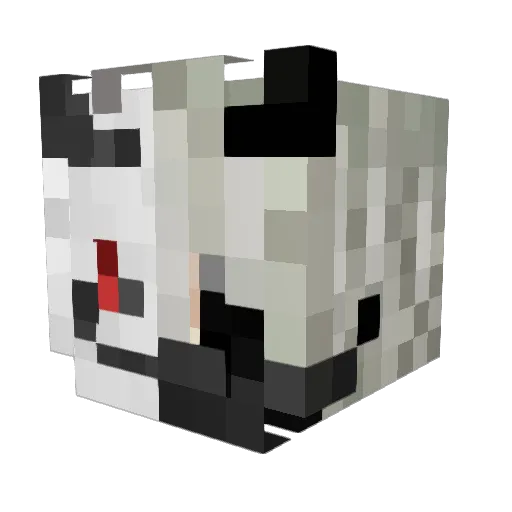 ZeroDakota Minecraft avatar head, 3D render