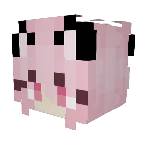 ZeroEnergyZ Minecraft avatar head, 3D render