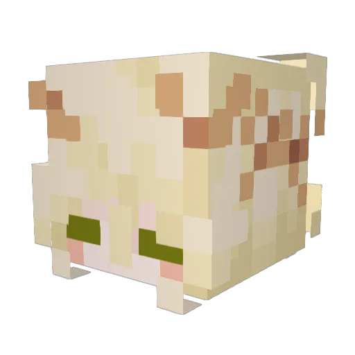 ZeroExpy Minecraft avatar head, 3D render