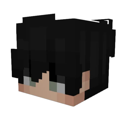 ZeroGamer20 Minecraft avatar head, 3D render