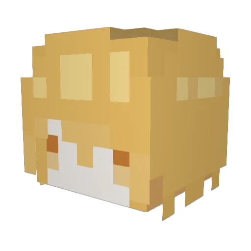 ZeroGravity76 Minecraft avatar head, 3D render