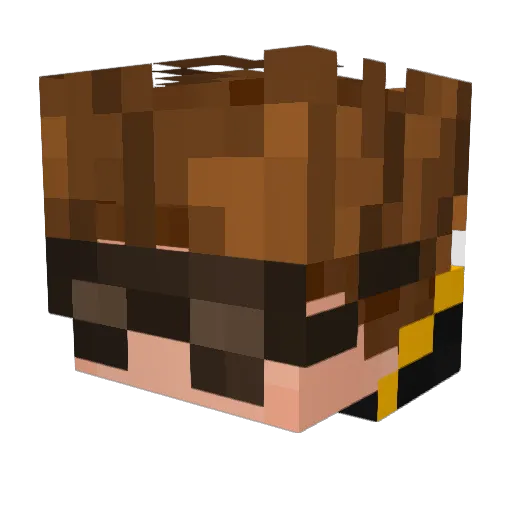 ZeroKill_ Minecraft avatar head, 3D render