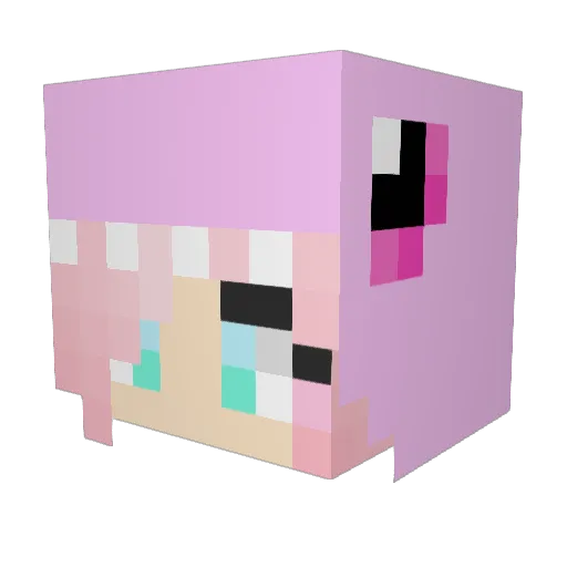 ZeroLeft Minecraft avatar head, 3D render