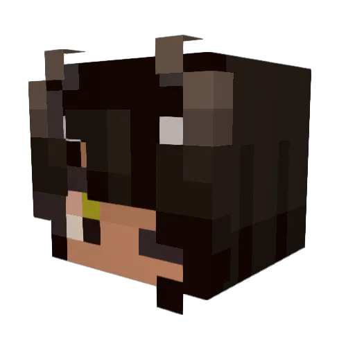 ZeroNightmare Minecraft avatar head, 3D render