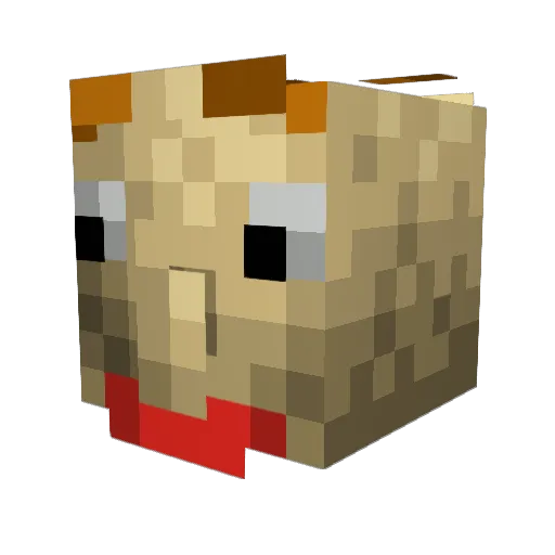 ZeroPandora51 Minecraft avatar head, 3D render