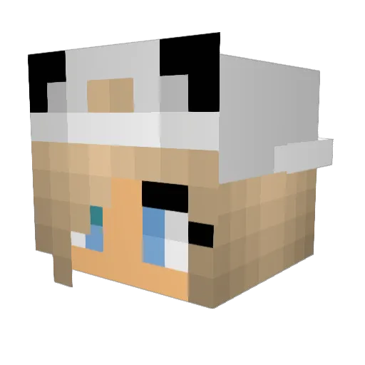 ZeroRecon Minecraft avatar head, 3D render
