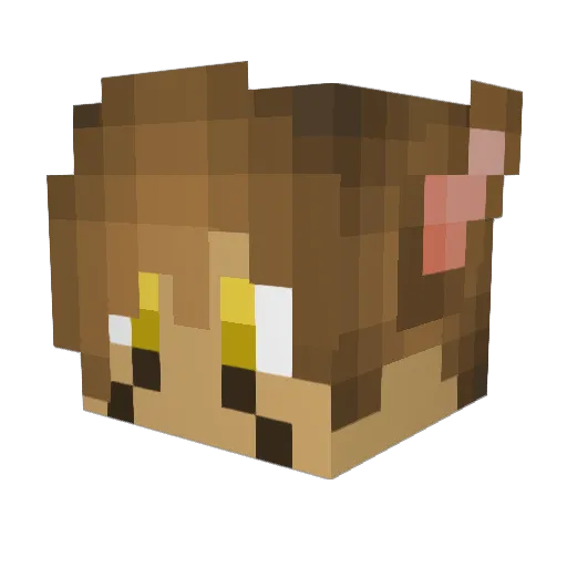 ZeroT3K Minecraft avatar head, 3D render