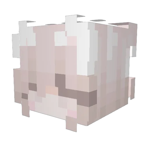 Zero_0609 Minecraft avatar head, 3D render