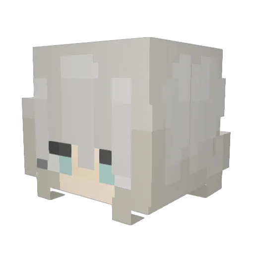 Zero_Rexp Minecraft avatar head, 3D render