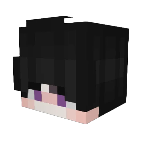 Zero_Tier Minecraft avatar head, 3D render