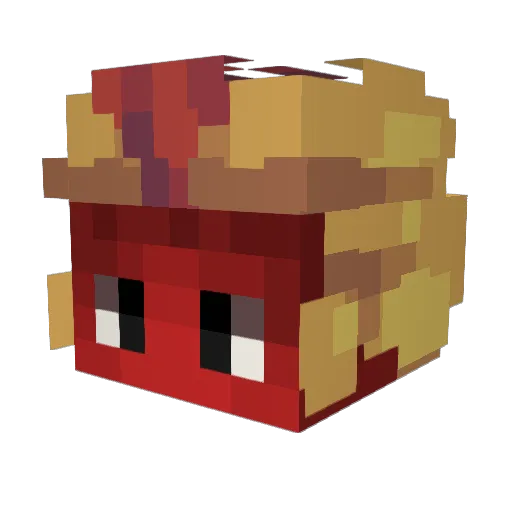 Zerogravity1108 Minecraft avatar head, 3D render