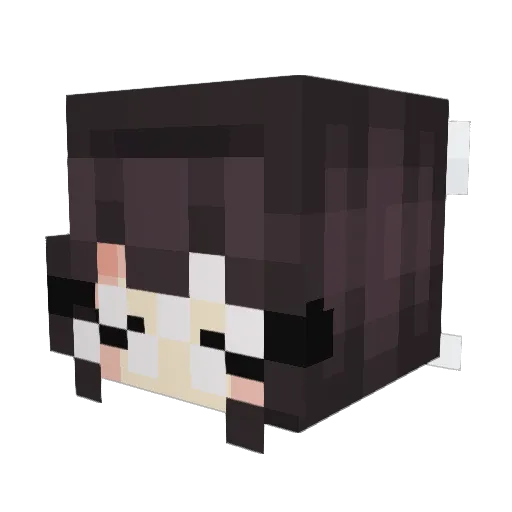 Zerokieon Minecraft avatar head, 3D render