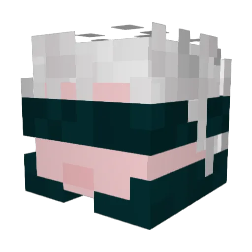 Zeronin99 Minecraft avatar head, 3D render