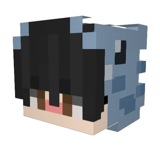 ZerooMC_ Minecraft avatar head, 3D render