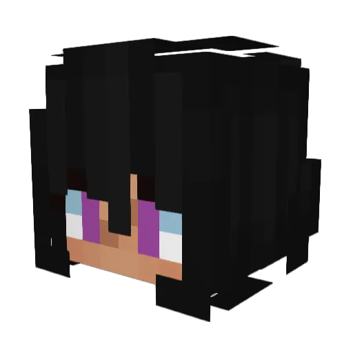 Zerostarfish955 Minecraft avatar head, 3D render
