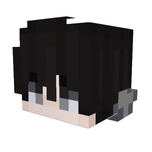 Zerot4875 Minecraft avatar head, 3D render