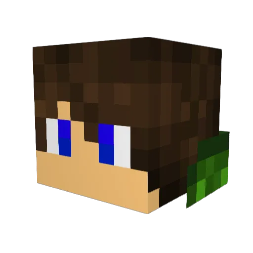 ZerotheHero31 Minecraft avatar head, 3D render