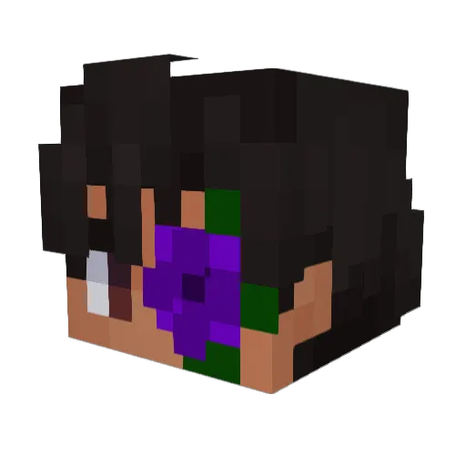 Minecraft-Avatar von Zeroxx_mc: Kopf als 3D-Render