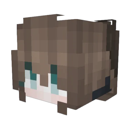 Zeroye132 Minecraft avatar head, 3D render
