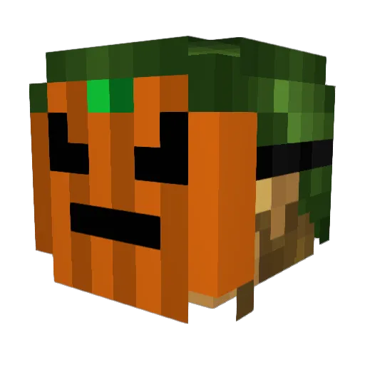 Zert1 Minecraft avatar head, 3D render