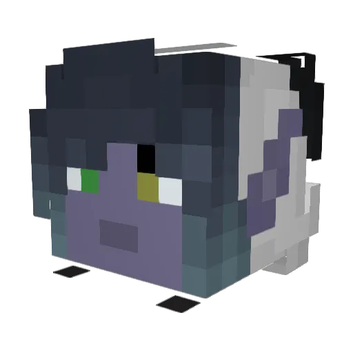 Zeruserus Minecraft avatar head, 3D render