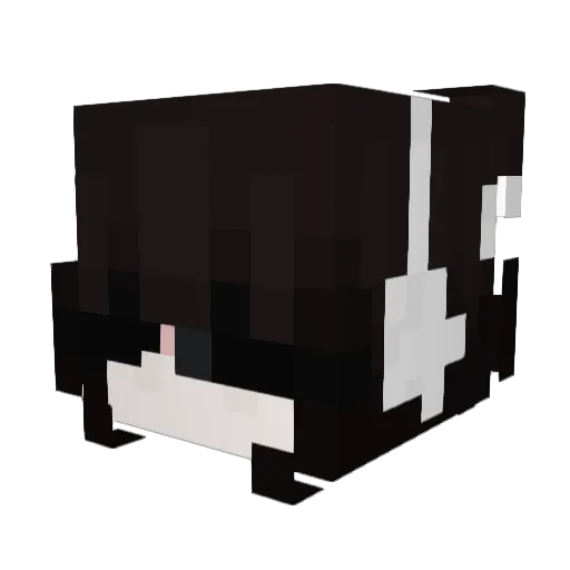 Zerylko Minecraft avatar head, 3D render