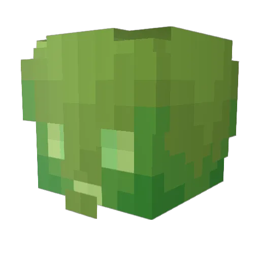 Zerzoz Minecraft avatar head, 3D render